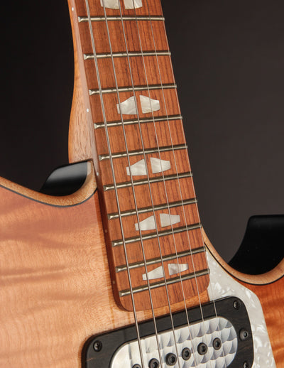 Powers Electric A-Type Select FF42 CamTail TME Spec/Light Pale Ale