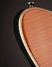 Powers Electric A-Type FF42 Hardtail Wild Honey Burst