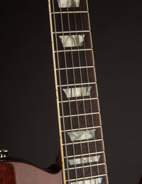Probett Meteor Walnut Brown