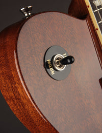 Probett Meteor Walnut Brown