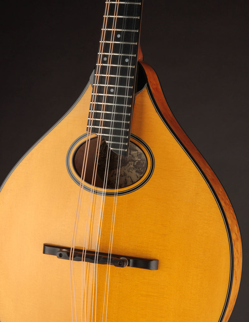 Collings MT2-O Birdseye Maple & Italian Spruce Honey Amber