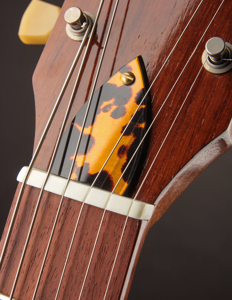 Retrograde Roswell Violin Varnish 