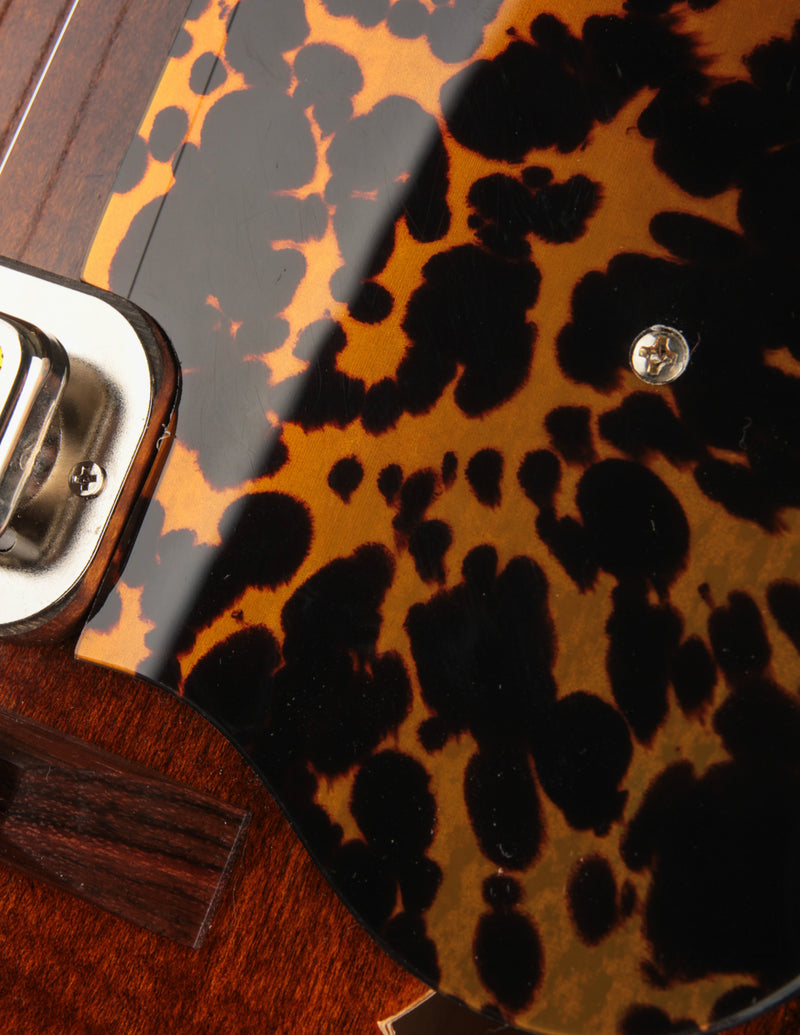 Retrograde Roswell Violin Varnish 