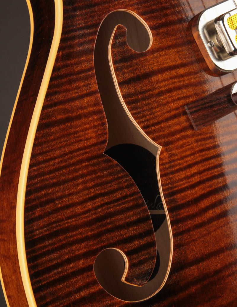 Retrograde Roswell Violin Varnish 