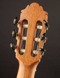 Close-up of a guitar headstock with tuning pegs on a dark background