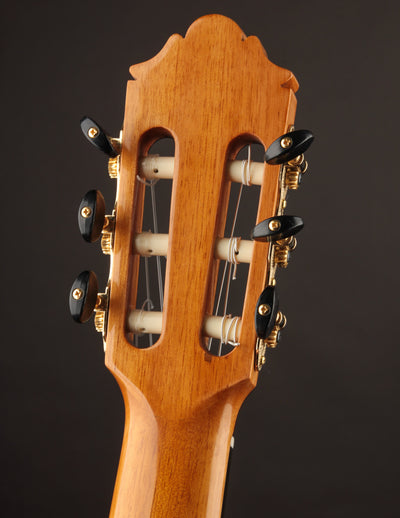 Vazquez Rubio Crossover Estudio Cutaway Spruce