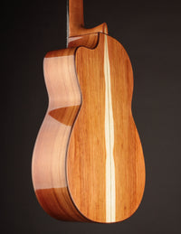 Back and sides of classical guitar