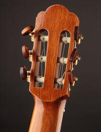Close-up of a guitar headstock with tuning pegs on a dark background