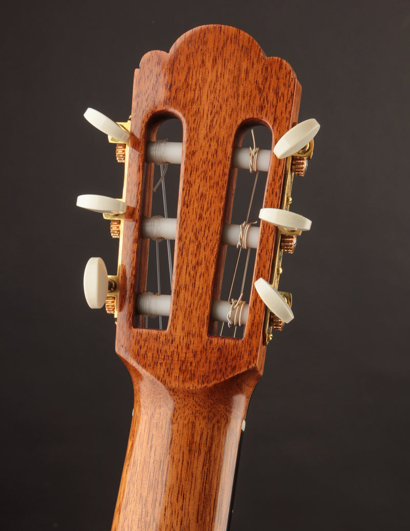 Vazquez Rubio Hauser German Spruce & Indian Rosewood