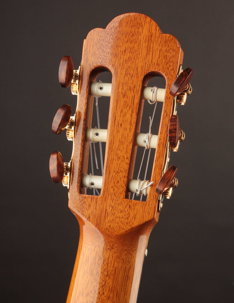 Vazquez Rubio Hauser German Spruce & Indian Rosewood Classical