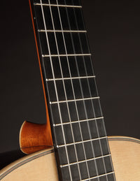 Close-up of a guitar neck with fretboard and strings on a dark background