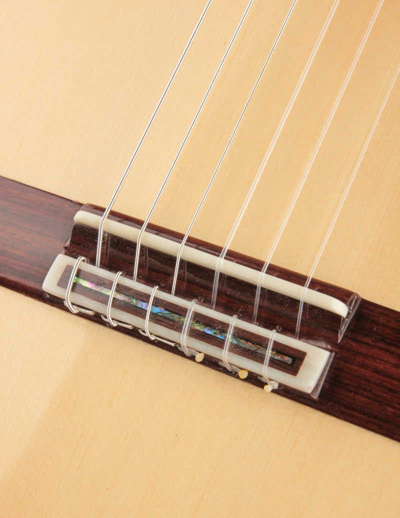 Vazquez Rubio Hauser German Spruce & Indian Rosewood Classical