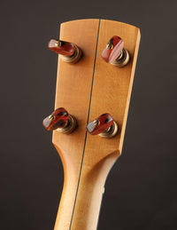 Close-up of a banjo headstock with tuning pegs on a dark background