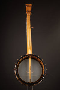 Banjo on a dark background, back view