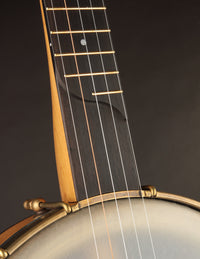 Close-up of a banjo's soundboard and strings against a dark background
