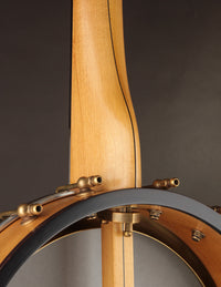 Close-up of a banjo with wooden neck and metal hardware on a dark background