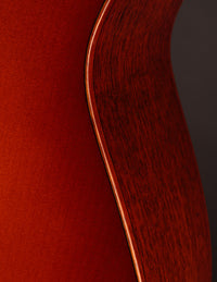 Santa Cruz 1929 00 Spruce Top Sunburst Custom