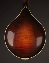 Smart A-5 Engelmann & Red Maple
