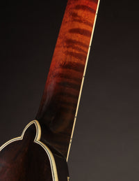 Smart A-5 Engelmann & Red Maple