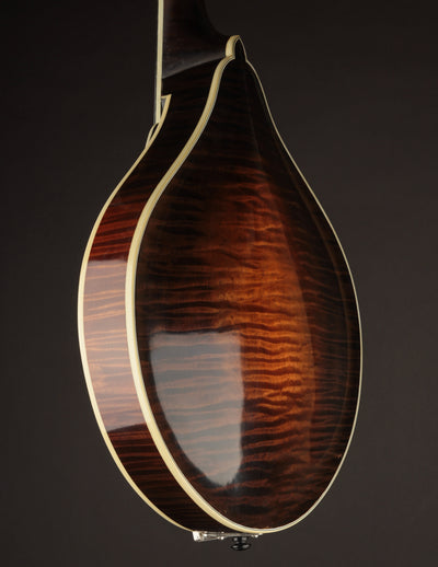 Lawrence Smart A-5 Engelmann