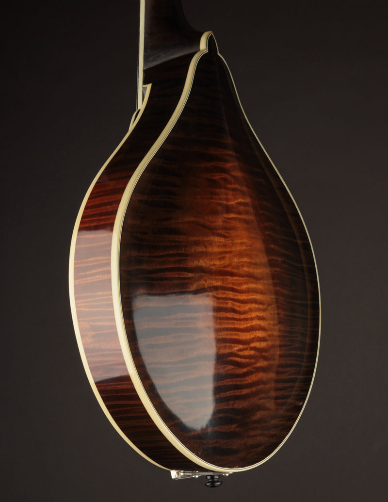 Lawrence Smart A-5 Engelmann