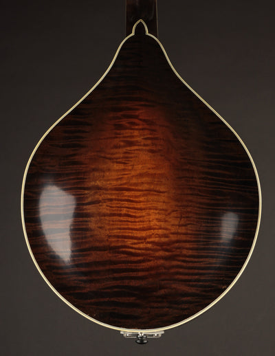 Lawrence Smart A-5 Engelmann