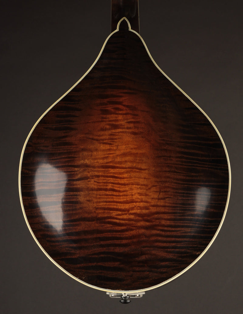 Lawrence Smart A-5 Engelmann