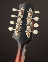 Smart A-5 Engelmann & Red Maple