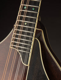 Smart A-5 Engelmann & Red Maple