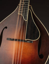 Smart A-5 Engelmann & Red Maple
