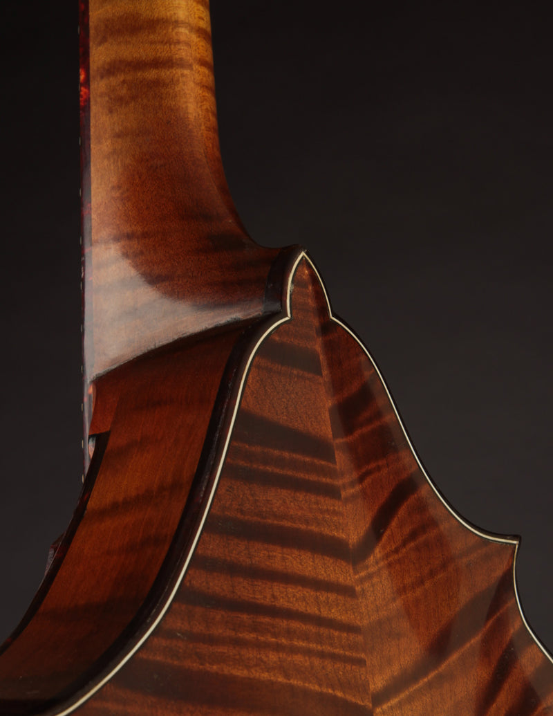 Smart Two-Point Amber Art Deco (2023)