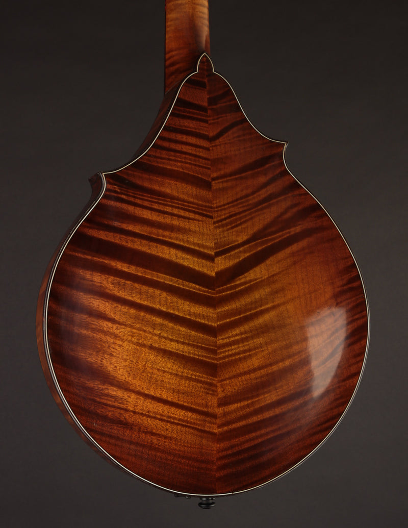 Smart Two-Point Amber Art Deco (2023)
