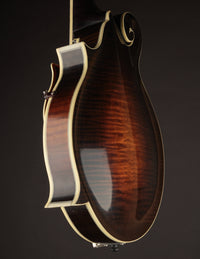 Angled view of the mandolin's body back on a black background