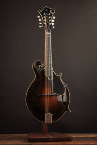 Mandolin on a stand against a dark background