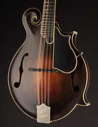 Mandolin with a dark brown finish on a black background