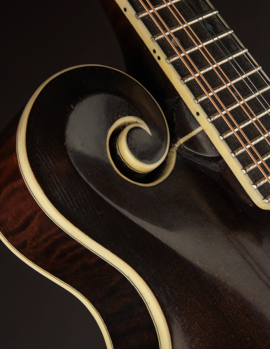 Smart Maple Smart F5 Engelmann & Red Maple | The Music Emporium