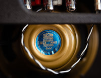 Close up of guitar speaker