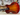 A sunburst electric guitar body and neck are displayed on a workbench in a workshop setting, with a leather gig bag and various tools hanging on a pegboard in the background.