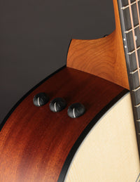 Taylor 112CE