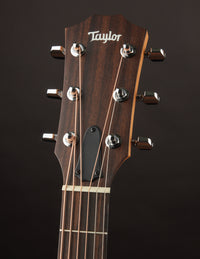 Taylor 114CE w/Bag