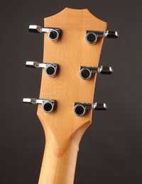 Taylor 114CE w/Bag