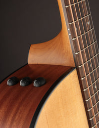 Taylor 114CE w/Bag