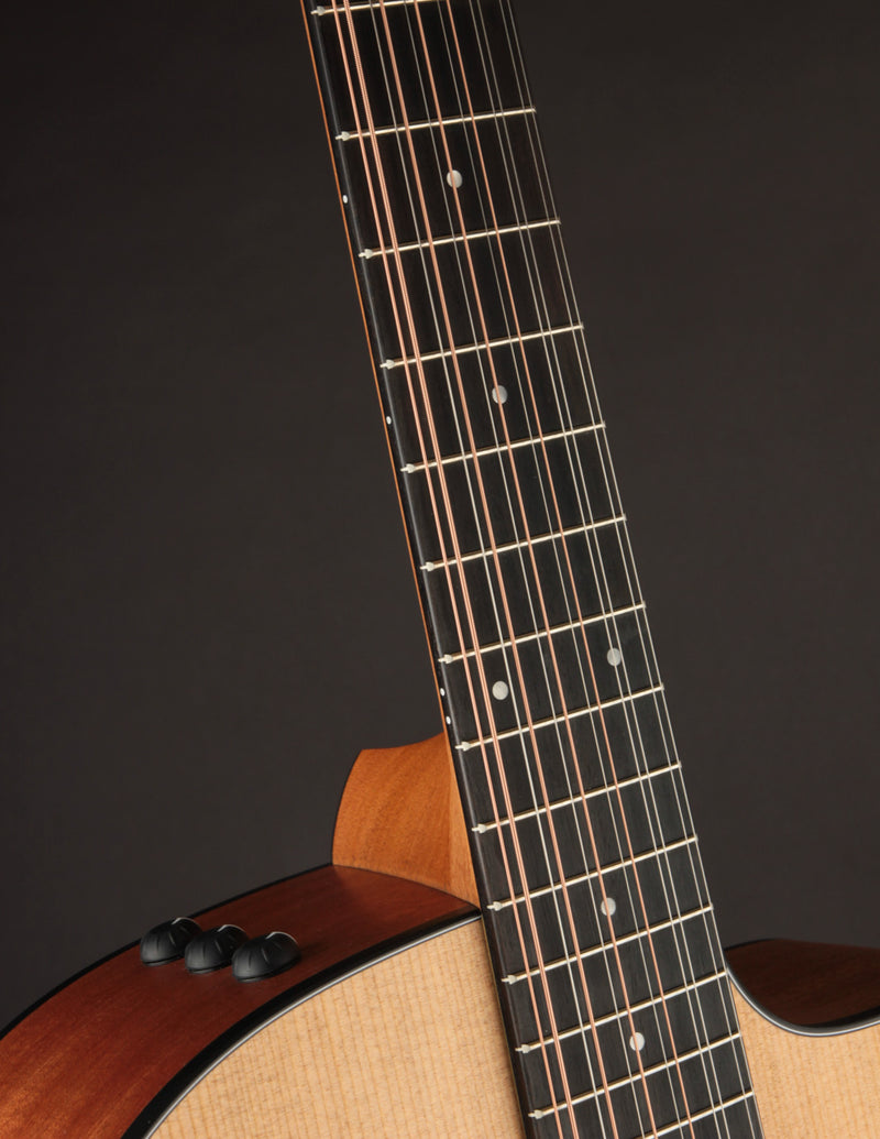 Taylor 150ce 12-string