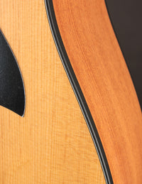 Taylor 150ce 12-string