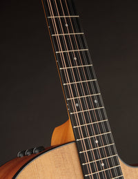 Taylor 150ce 12-string
