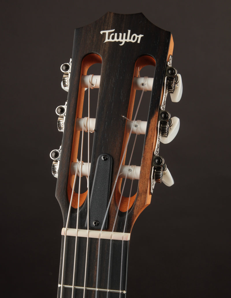 Taylor 212CE-N Nylon Plus