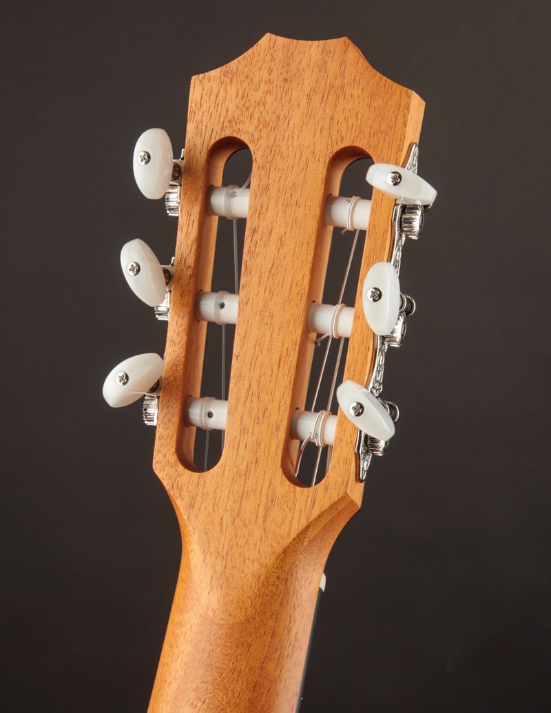 Taylor 212CE-N Nylon Plus
