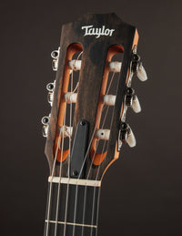 Taylor 212CE-N Nylon Plus