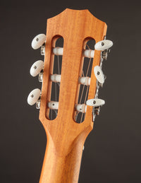 Taylor 212CE-N Nylon Plus