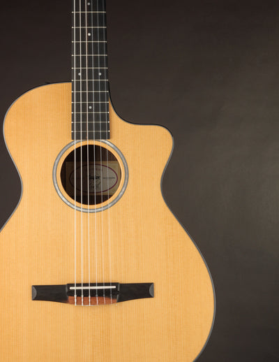 Taylor 212CE-N Nylon Plus